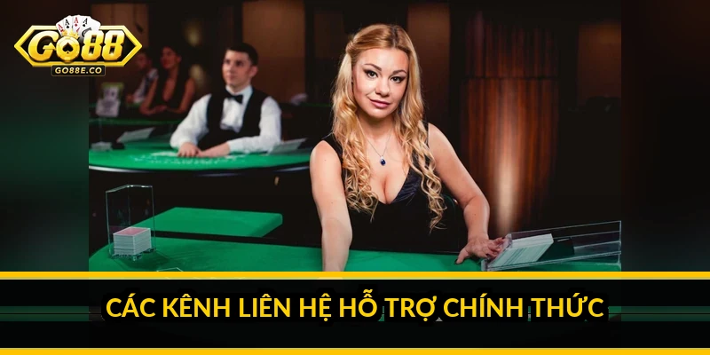 Các kênh liên hệ hỗ trợ chính thức